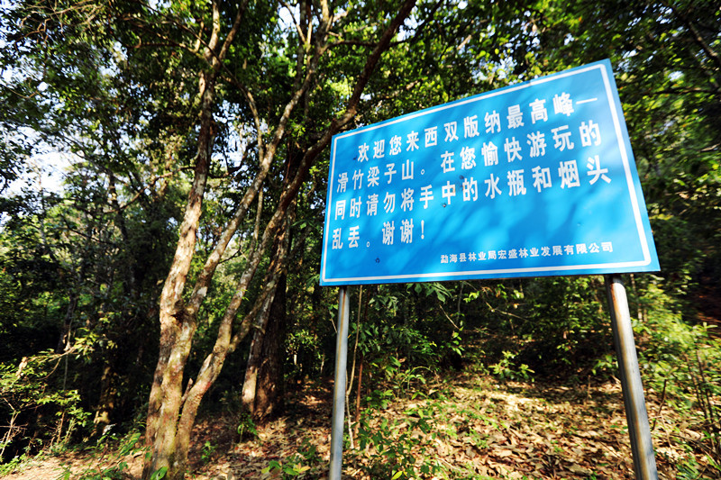 2021年滑竹梁子古樹秋茶價格？