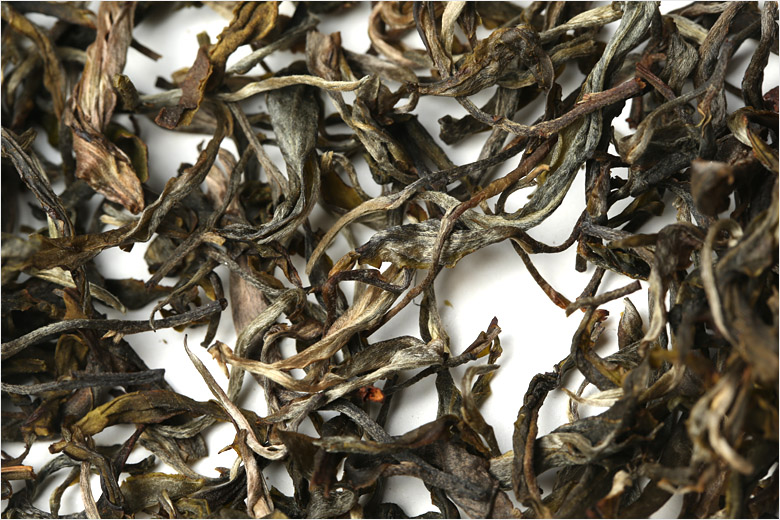 2021年巴達山章朗古樹秋茶特點？