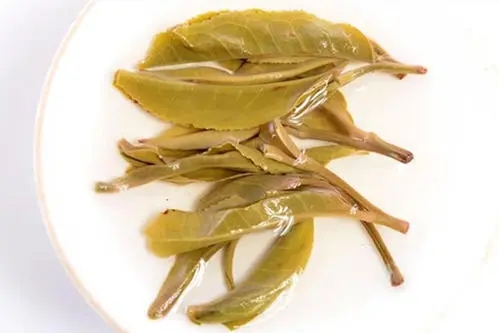 2021年南糯山拔瑪老寨古樹秋茶多少錢一公斤？