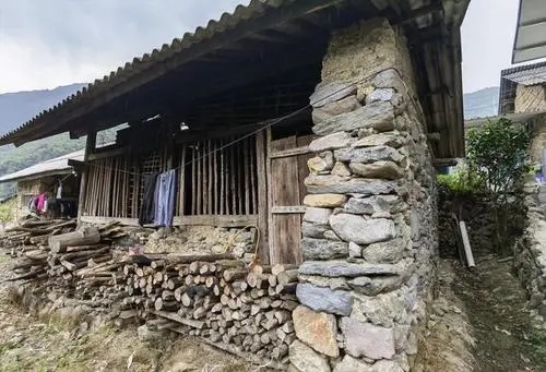 2022年景谷黃草壩古樹春茶特點是什么？