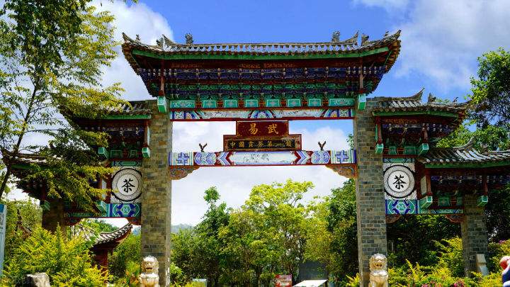 2022年易武正山在哪？易武正山是什么意思？