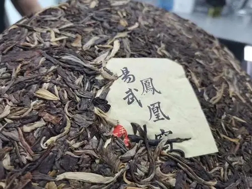 2022年鳳凰窩古樹高桿，鳳凰筑巢的地方