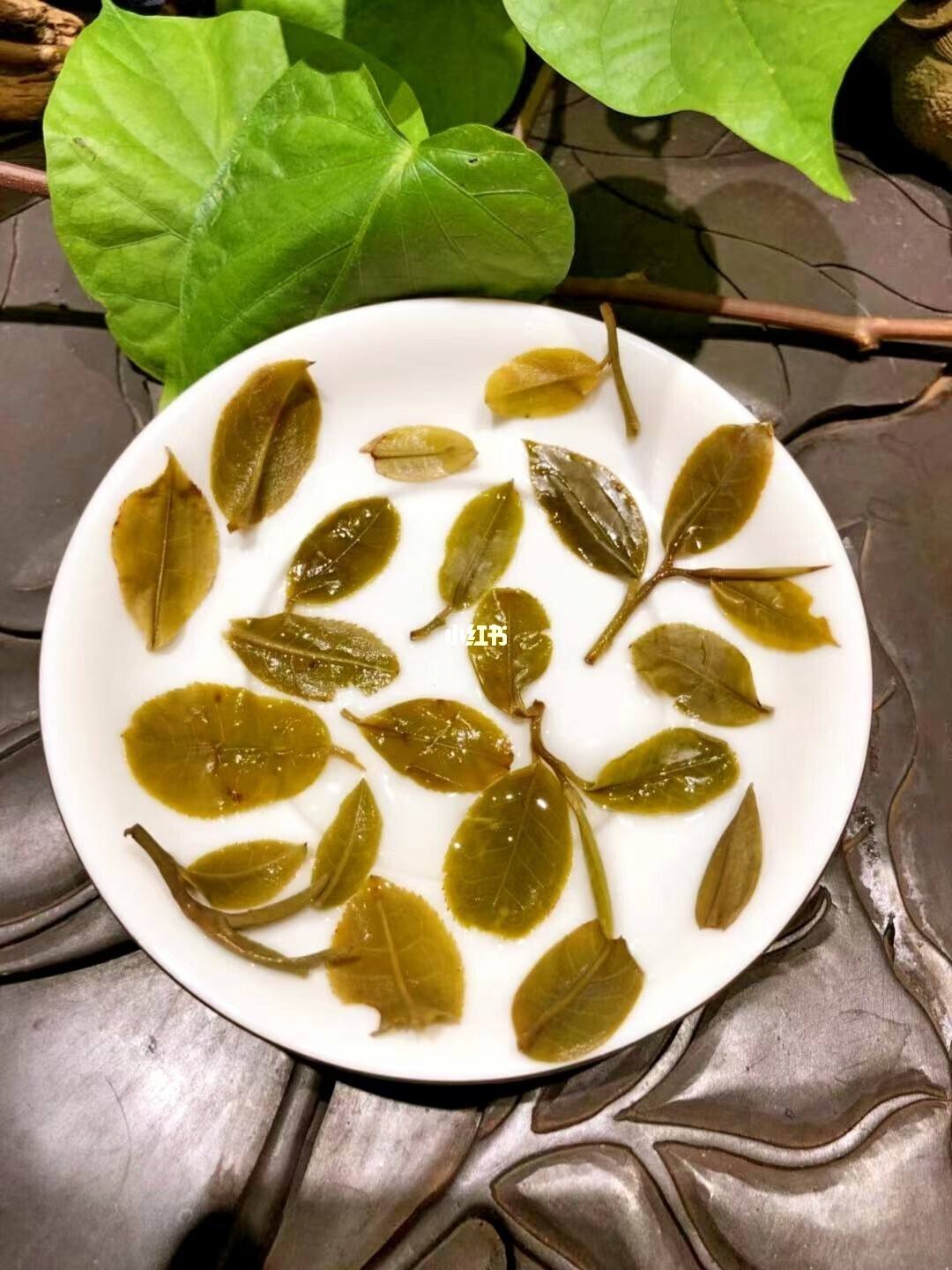 2022年倚邦貓耳朵古樹(shù)春茶多少錢(qián)一公斤？