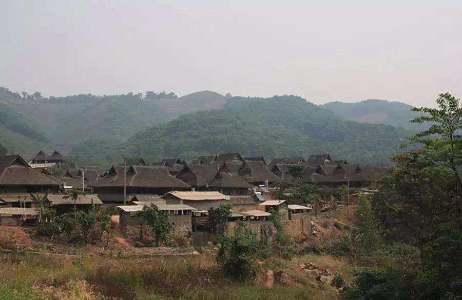 2022年革登古樹(shù)春茶特點(diǎn)？