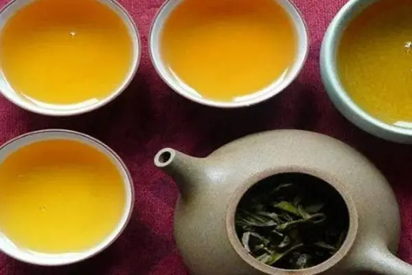 2022年普洱茶怎么泡法才正確？