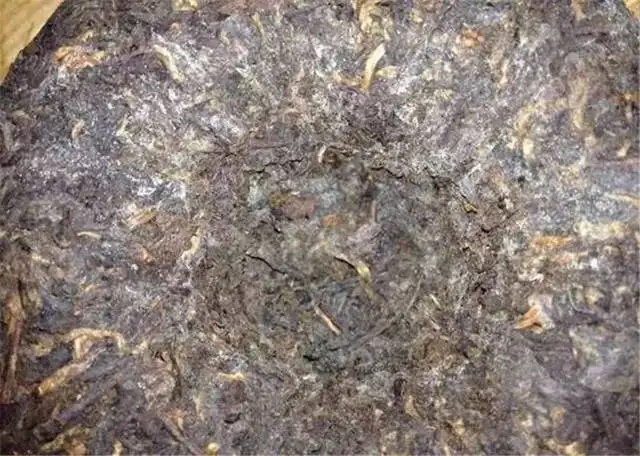 2022年普洱茶受潮發(fā)霉了怎么辦？