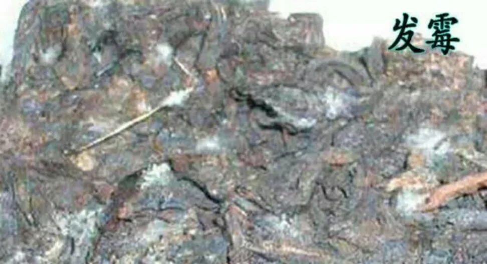 普洱茶受潮怎么處理？