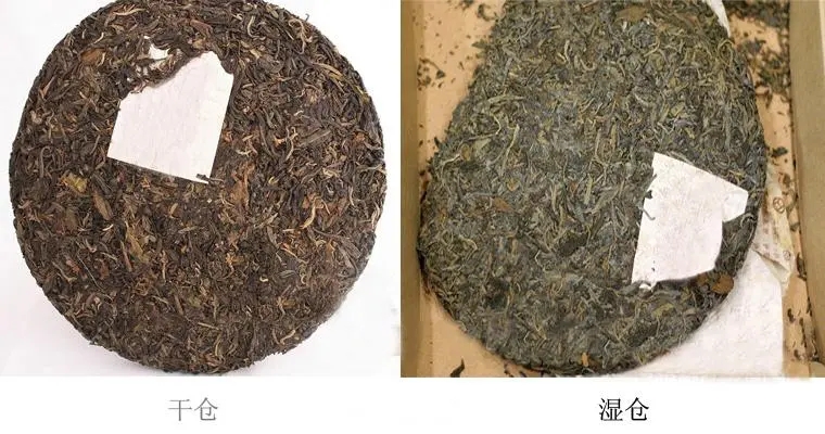 普洱茶怎么分辨干濕倉？