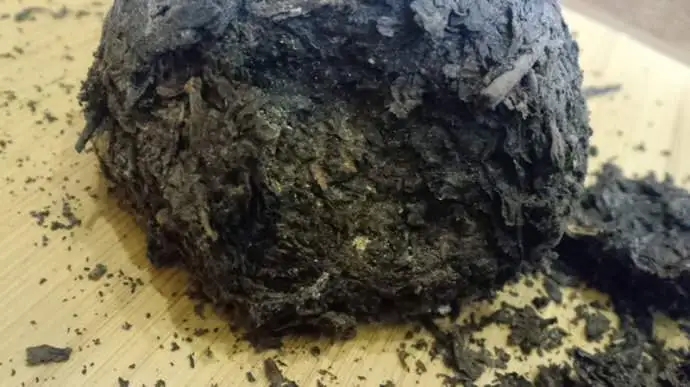 普洱茶蟲(chóng)子怎么辦？