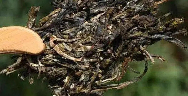 不同普洱茶生產(chǎn)地味道有哪些不同，不同派別的普洱茶味道又如何?