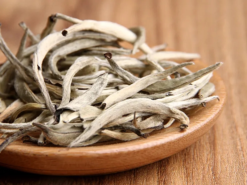 福鼎白茶、安吉白茶、云南月光白“三白”的區(qū)別