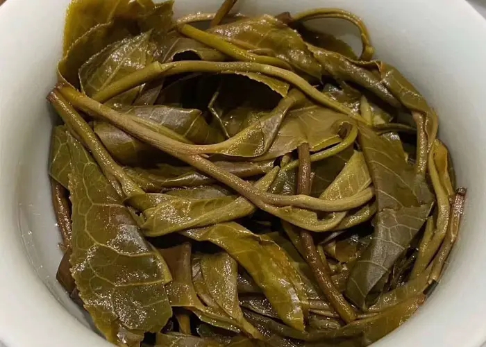 老班章和冰島誰更好喝，要怎么鑒別