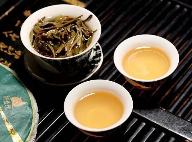 茶會(huì)“說(shuō)話”，讀懂云南古樹(shù)普洱茶的秘訣