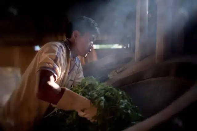 普洱茶的殺青和曬青到底是什么樣丨知識