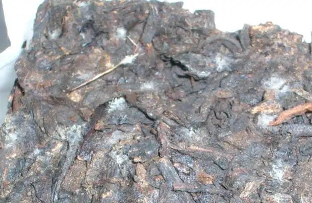 ?普洱茶發(fā)霉了怎么辦？教你妙招應對發(fā)霉的普洱茶！