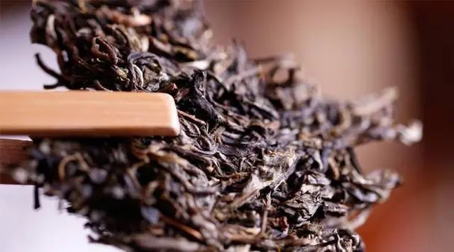 普洱生茶好還是普洱熟茶好喝？如何挑選適合自己的普洱茶？