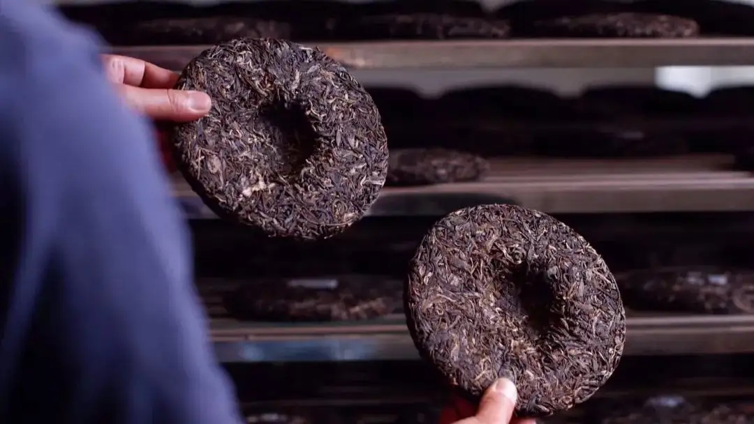 喝茶人都關(guān)心的普洱熟茶4大超核心問題！