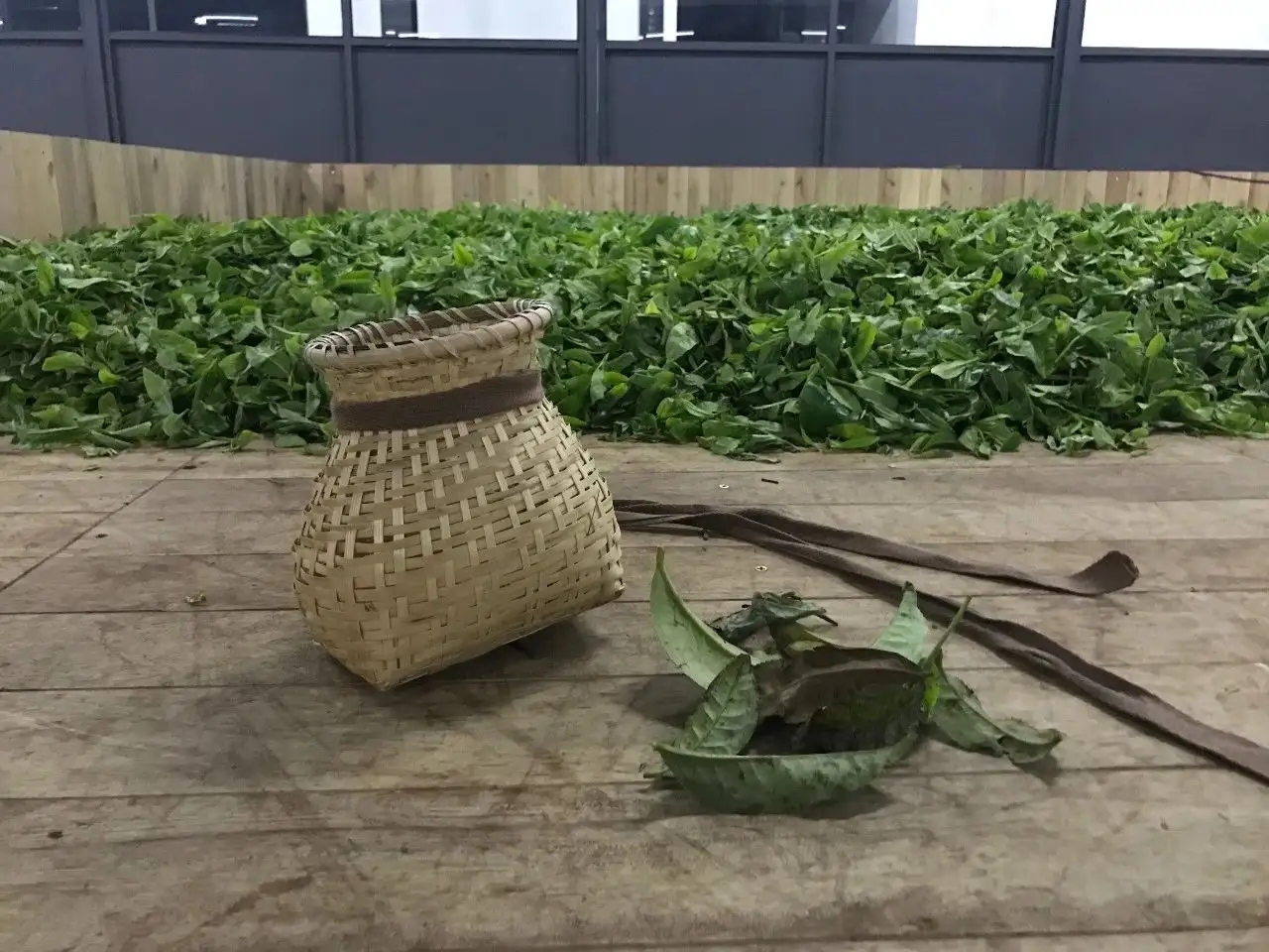 普洱茶，如果不談山頭，我們談什么？