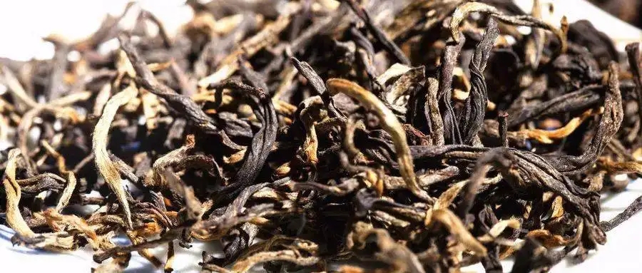 什么是茶氣？茶氣強勁又是一種怎樣的體驗？