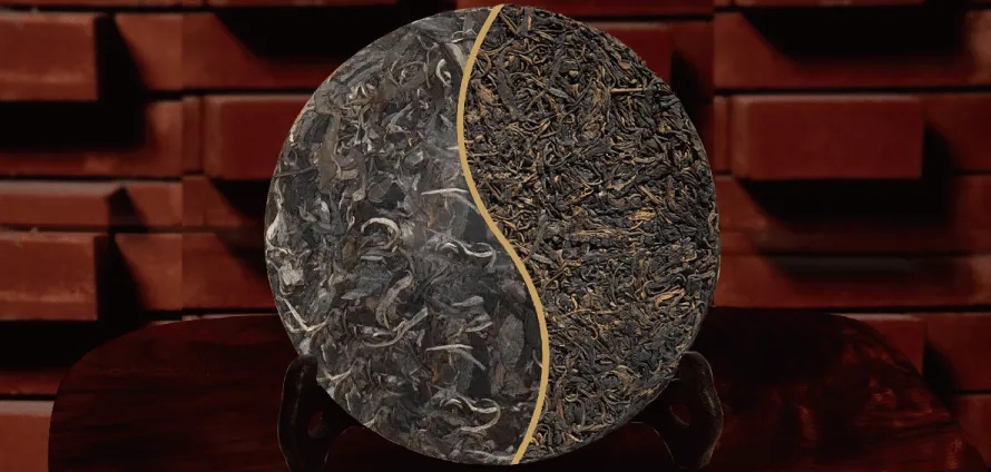 一入普門深似海？入普洱門前，你需要了解這些