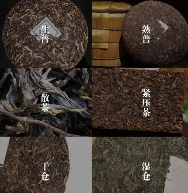 普洱茶不是越陳越香嗎？怎么也有最佳品飲期？