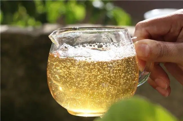 茶顏觀色”，看普洱茶條索里都蘊(yùn)含著怎樣的“密碼”？