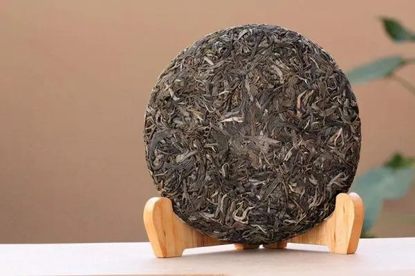 普洱茶入門首要問題，弄清楚，才能喝好茶