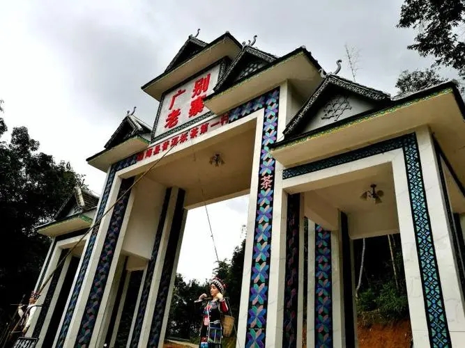 2023年廣別老寨古樹春茶品質(zhì)如何？