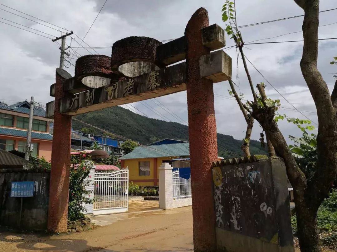 2023年廣別老寨古樹春茶價(jià)格多少？