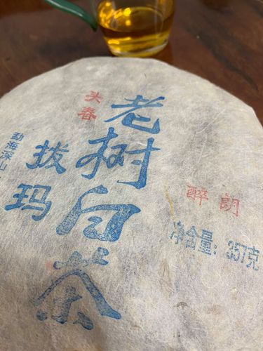 2023年拔瑪老寨古樹春茶口感如何？