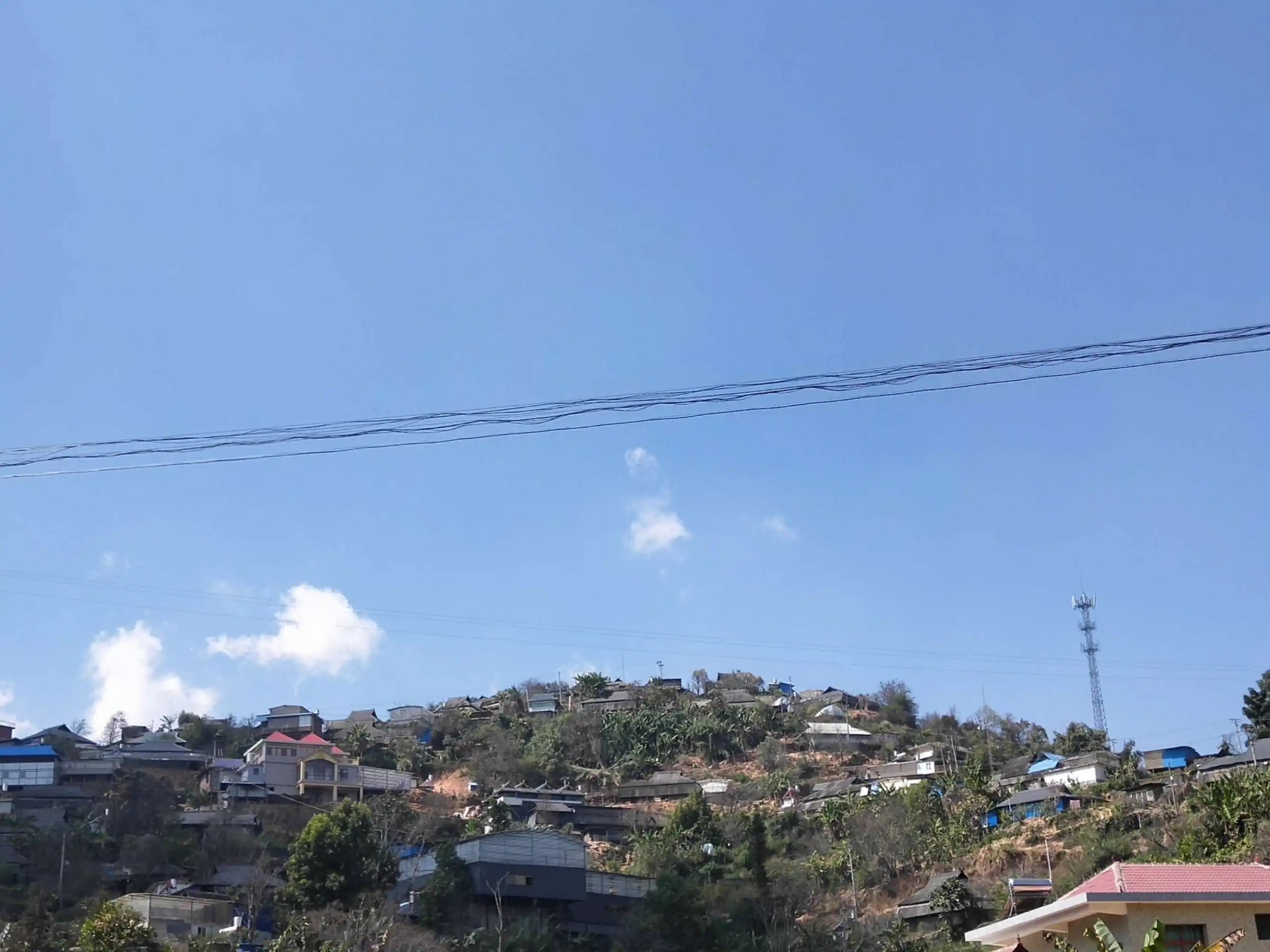 2023帕沙古樹春茶特點是什么？