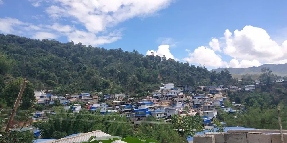 2023年那卡古樹春茶品質(zhì)如何？