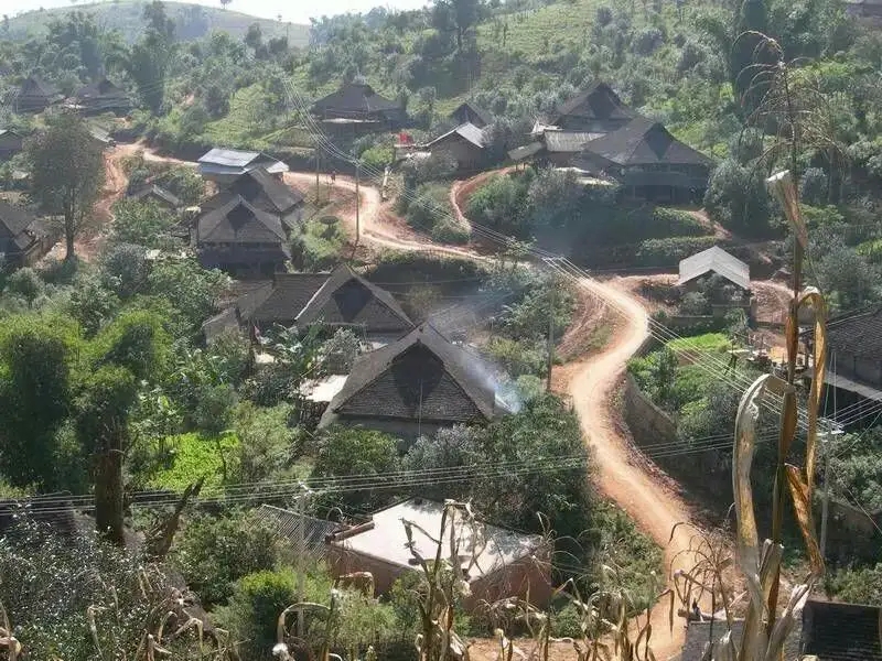 2023年保塘老寨古樹春茶品質(zhì)如何？