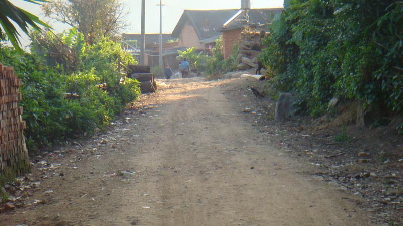 2023年保塘老寨古樹春茶價格是多少？