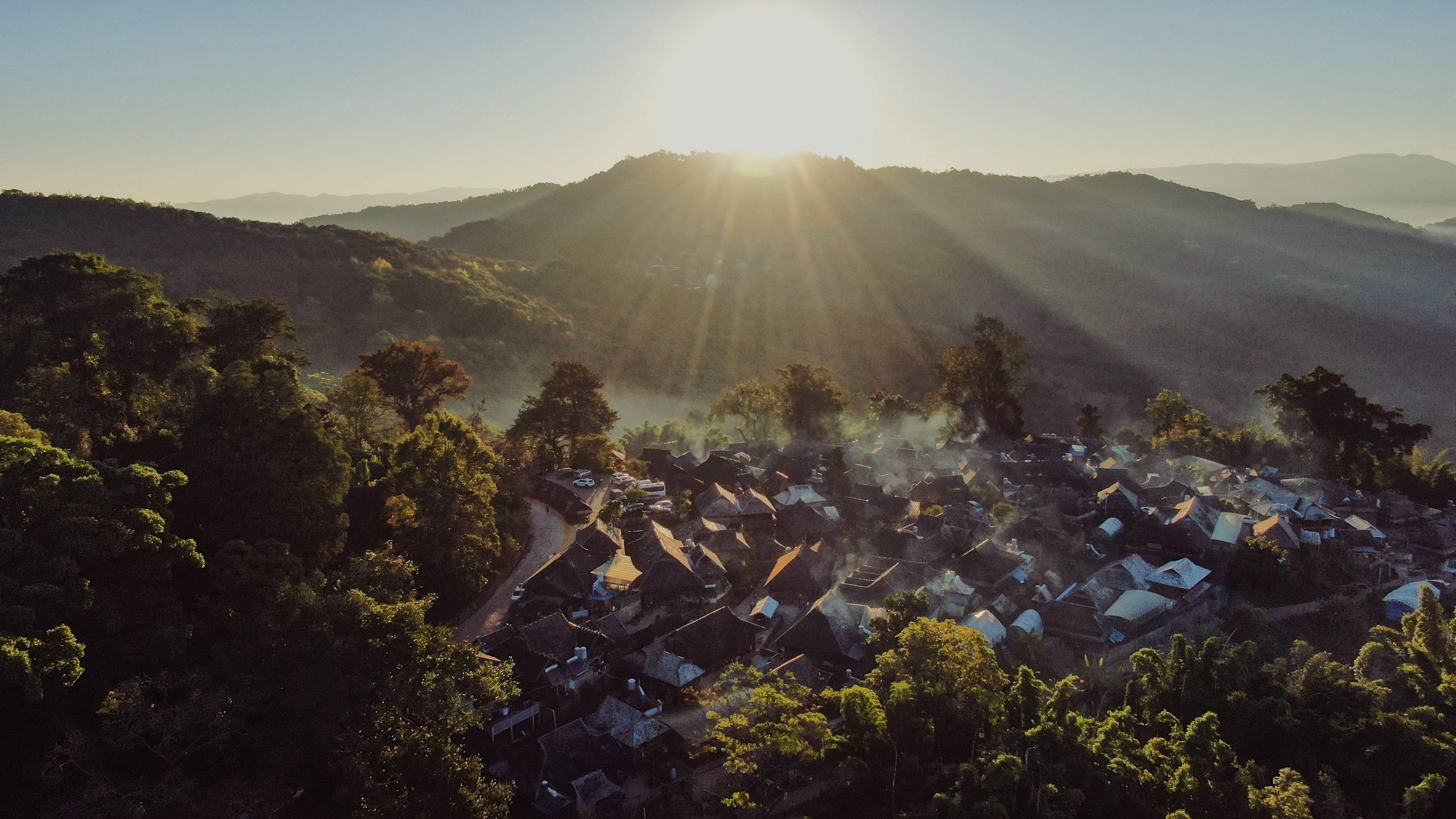 2023年景邁古樹春茶多少錢一公斤？