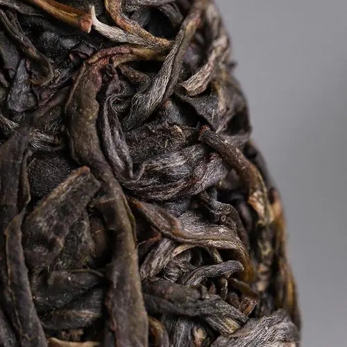 2023年迷帝古樹春茶價格是多少？