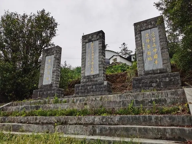 2023年白鶯山古樹春茶品質(zhì)如何？