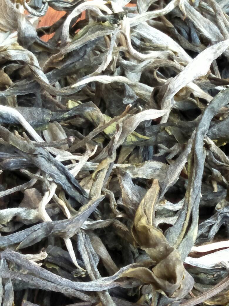 2023年壩歪古樹春茶價(jià)格是多少？