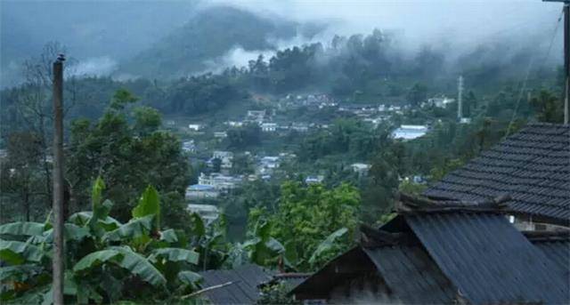 2023年勐庫豆腐寨古樹春茶口感怎么樣？