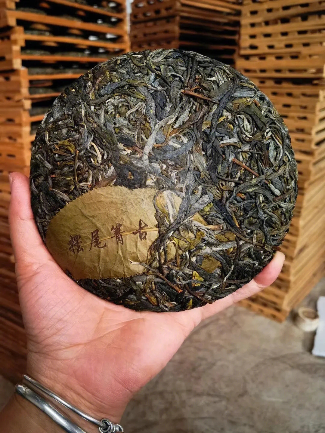 2023年寧洱擺尾箐古樹春茶品質(zhì)怎么樣？