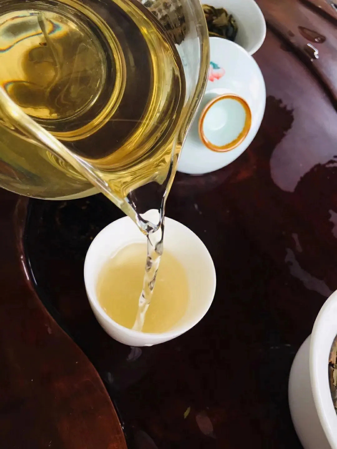 2023年鎮(zhèn)沅老海塘古樹(shù)春茶價(jià)格是多少？