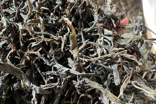 2023年鎮(zhèn)沅老烏山古樹(shù)春茶多少一公斤？