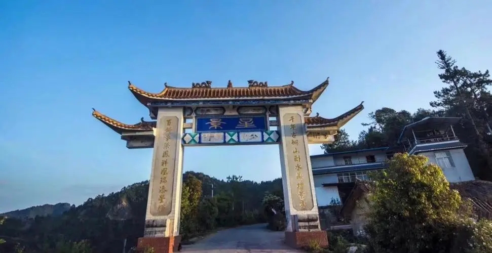 2024年墨江鳳凰窩古樹春茶特點(diǎn)是什么？