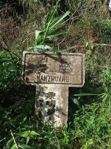 2025年蠻磚古樹春茶特點(diǎn)是什么？