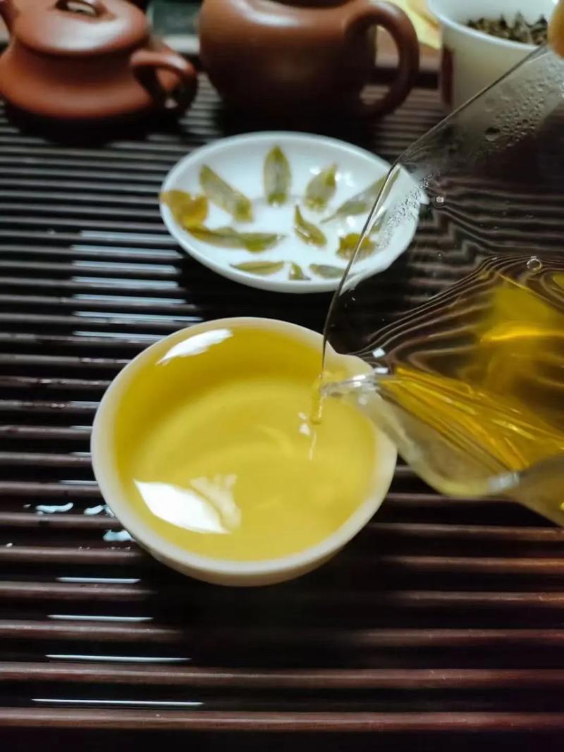 倚邦貢茶，甘甜醇柔